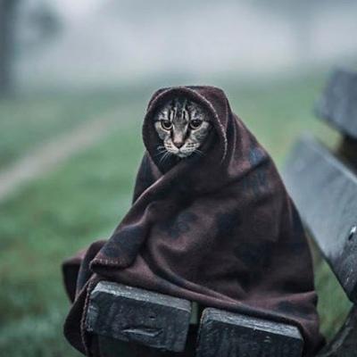 Иван Бочкин
