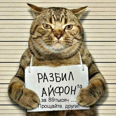 Марианна Шамрина