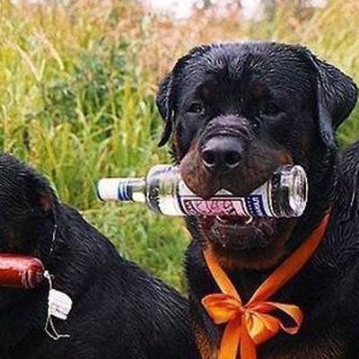 Ильдар Шиапов