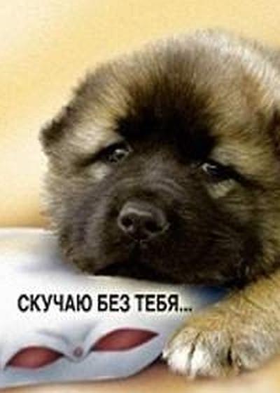 Асхат Рамзес