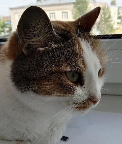 Илья Кушнерчук