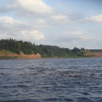 Гена Пашинский